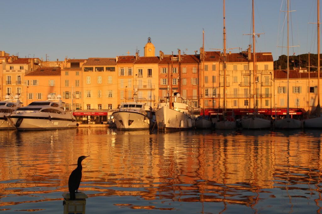 Port Saint Tropez 1 cMichel Brussol Film Var